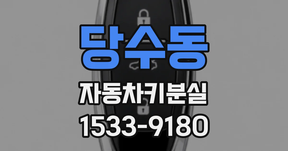 당수동 자동차키분실