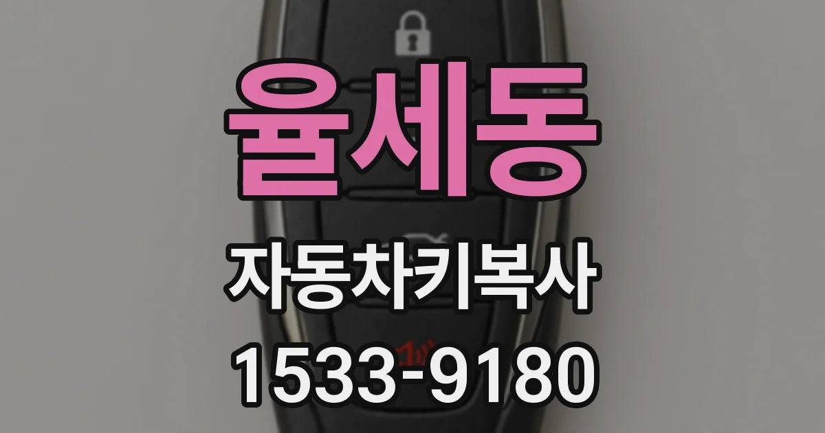 율세동 자동차키복사