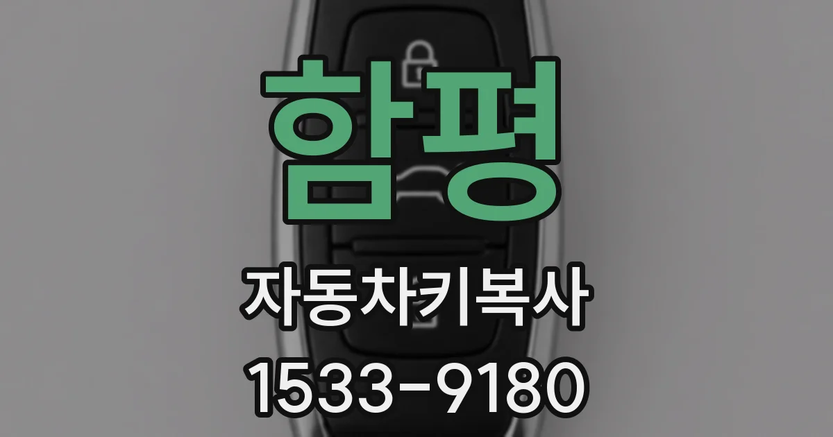 함평 자동차키복사