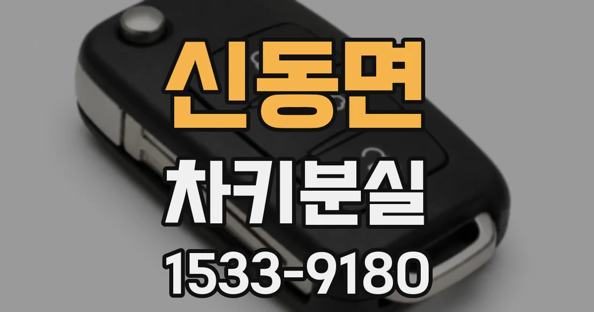 신동면 차키분실