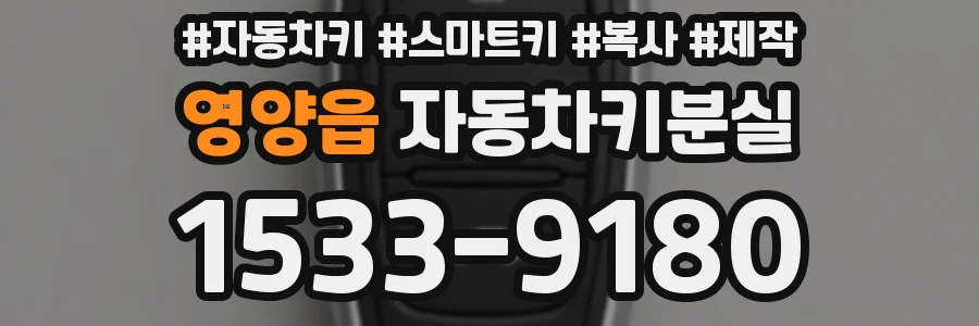 영양읍 자동차키분실