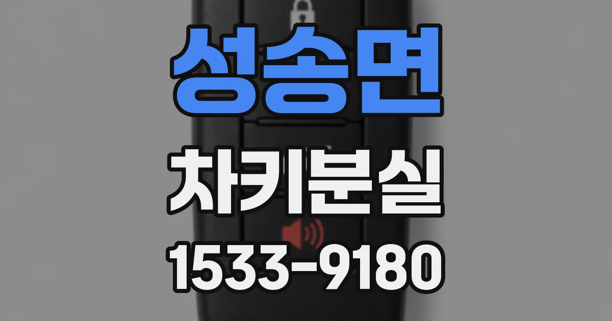 성송면 차키분실