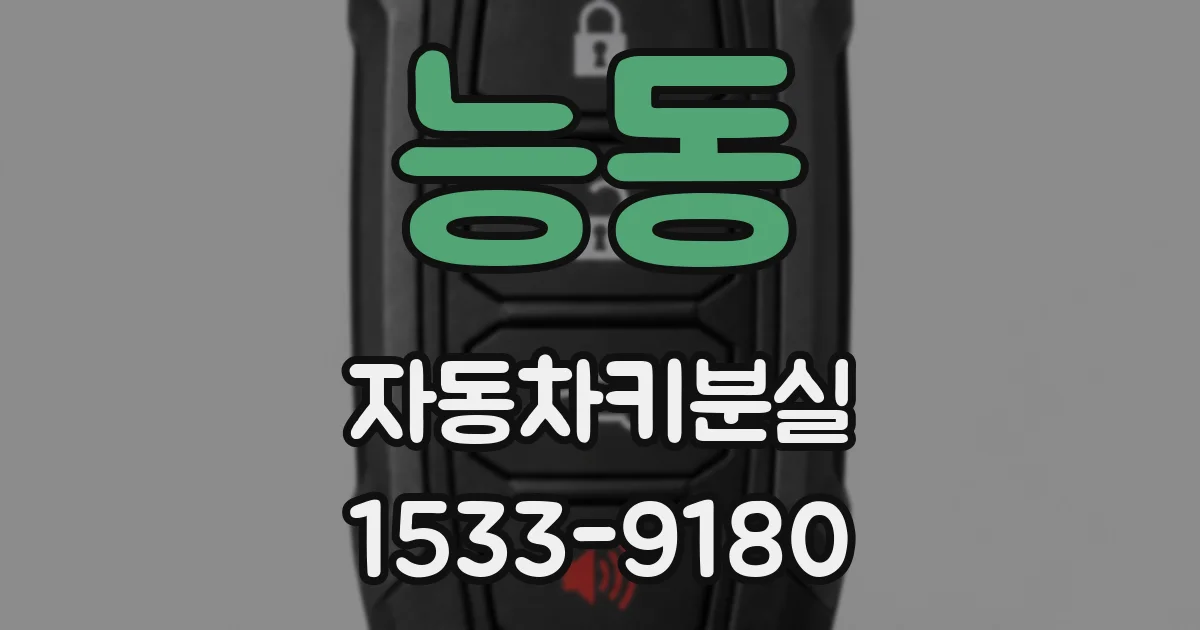 능동 자동차키분실