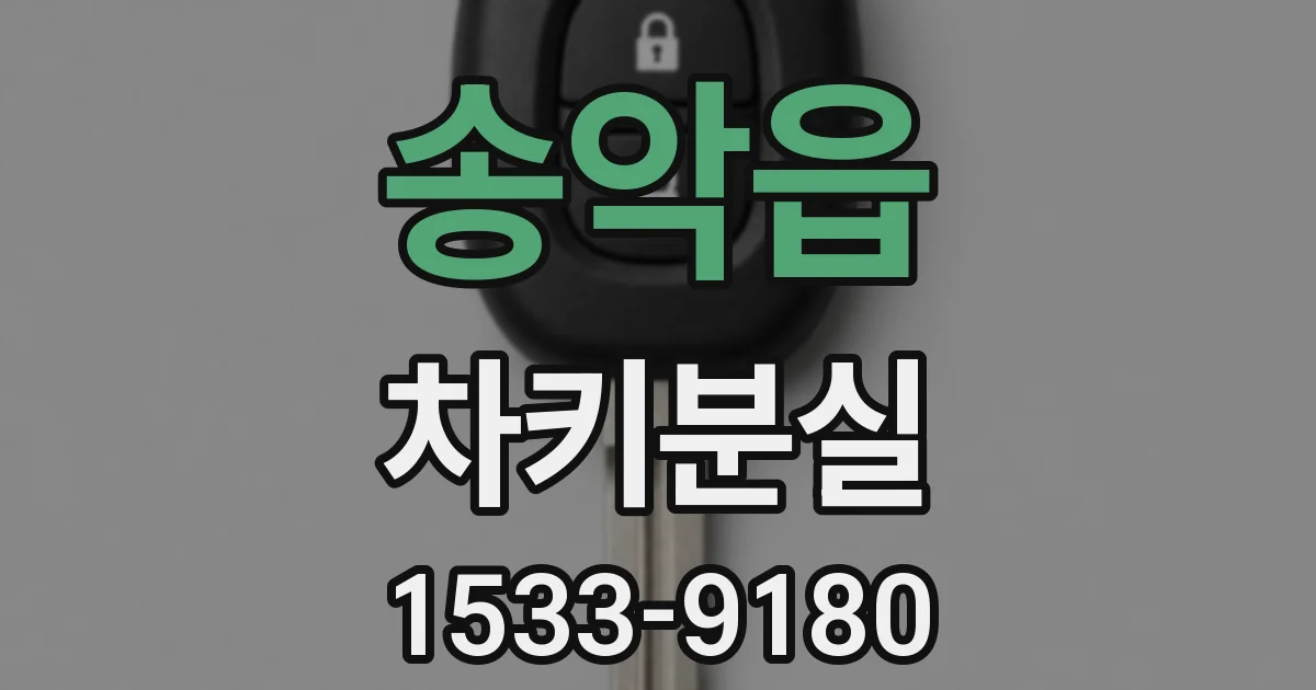 송악읍 차키분실