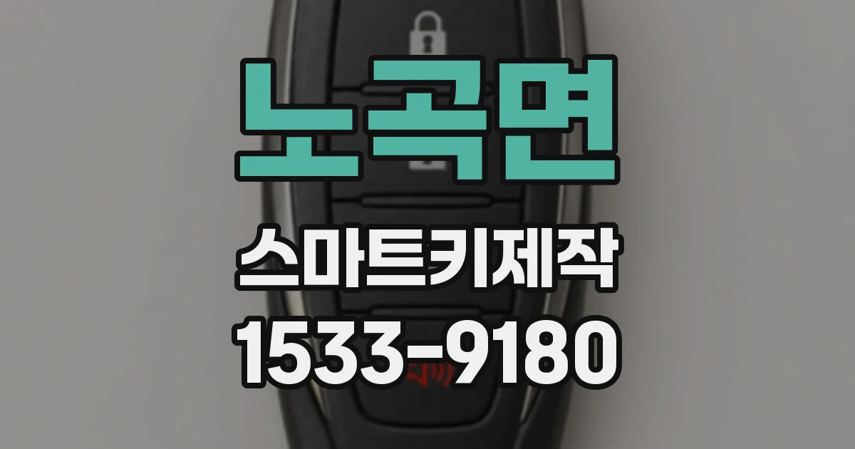 노곡면 스마트키제작