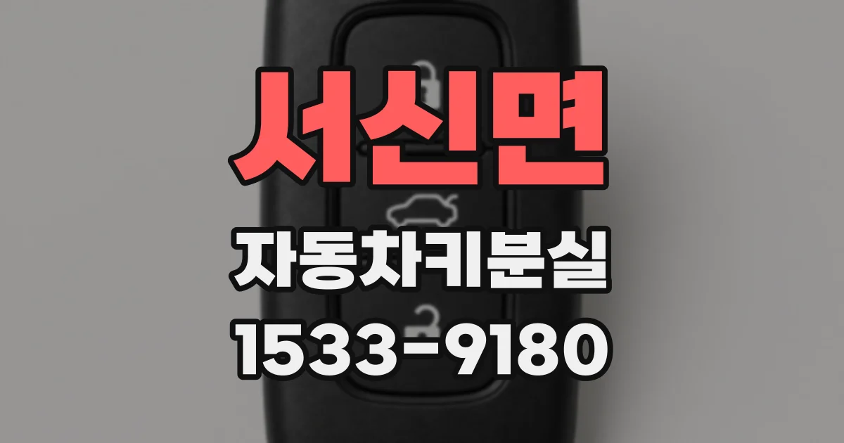 서신면 자동차키분실