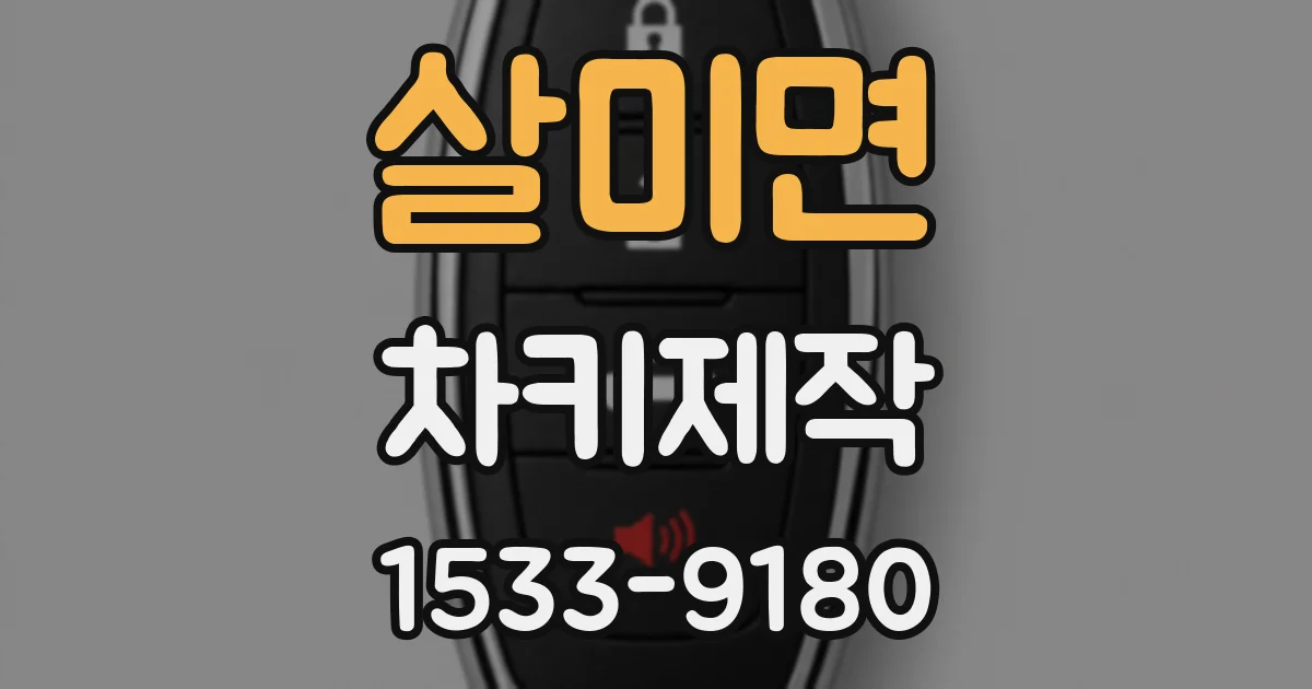 살미면 차키제작