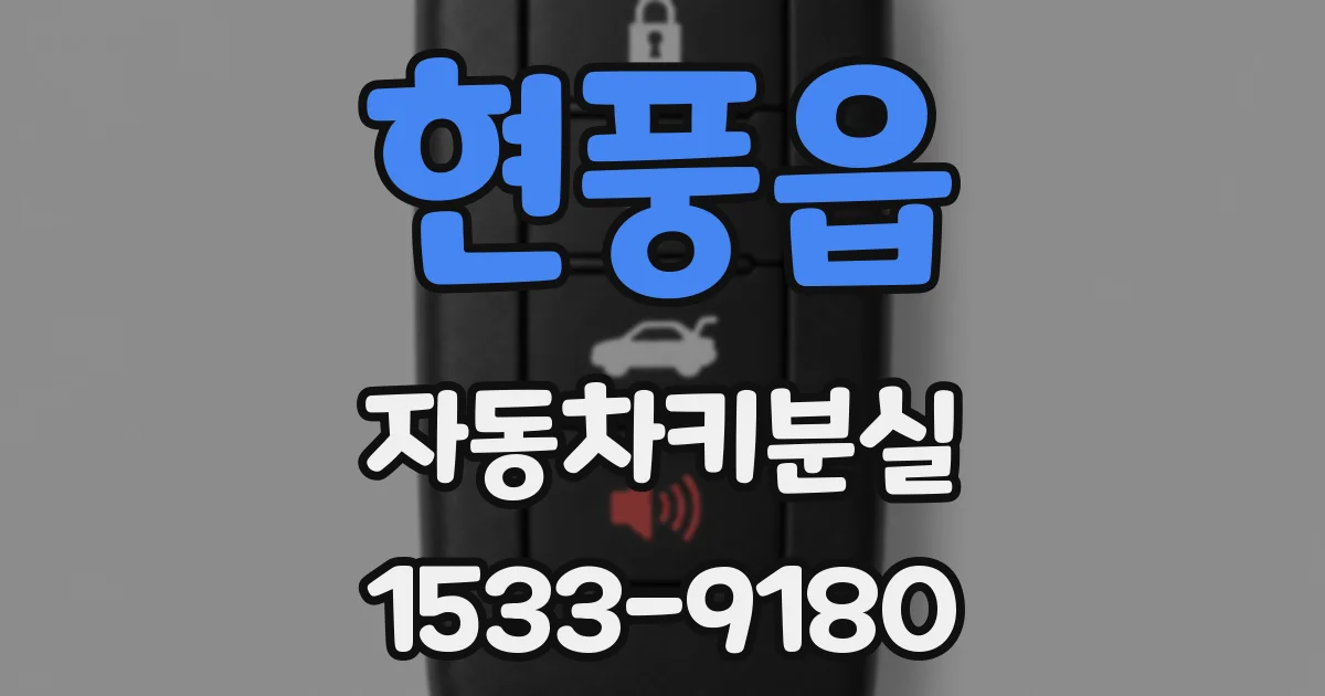 현풍읍 자동차키분실