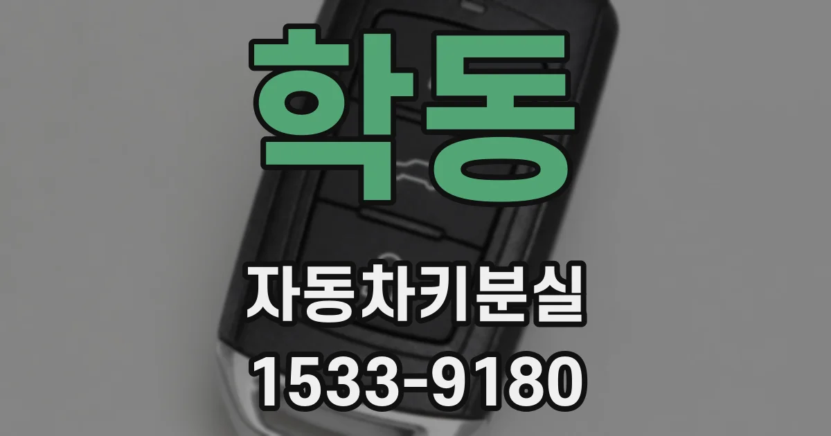 학동 자동차키분실