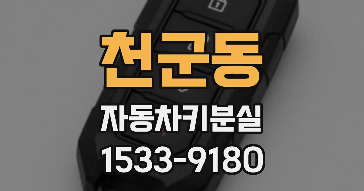천군동 자동차키분실