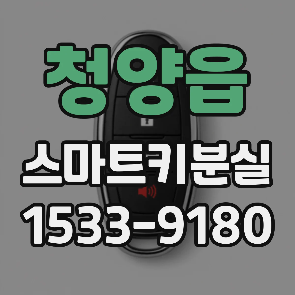 청양읍 스마트키분실