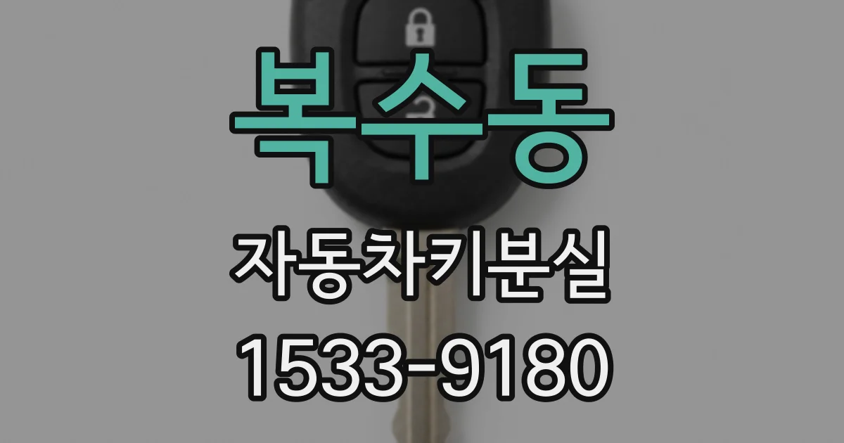복수동 자동차키분실