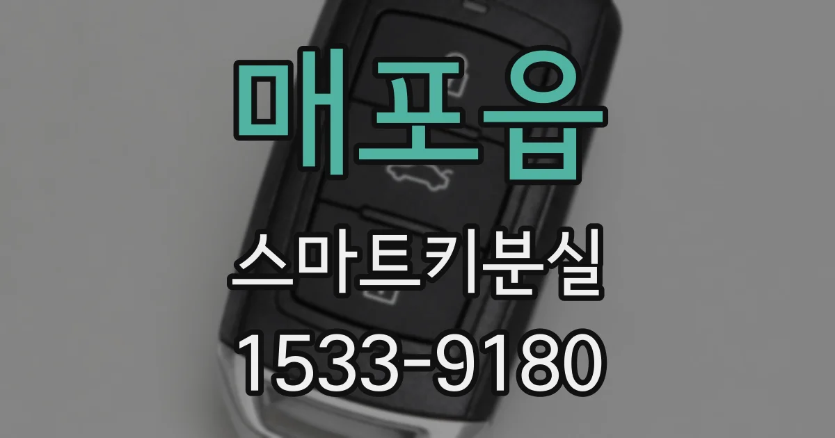 매포읍 스마트키분실