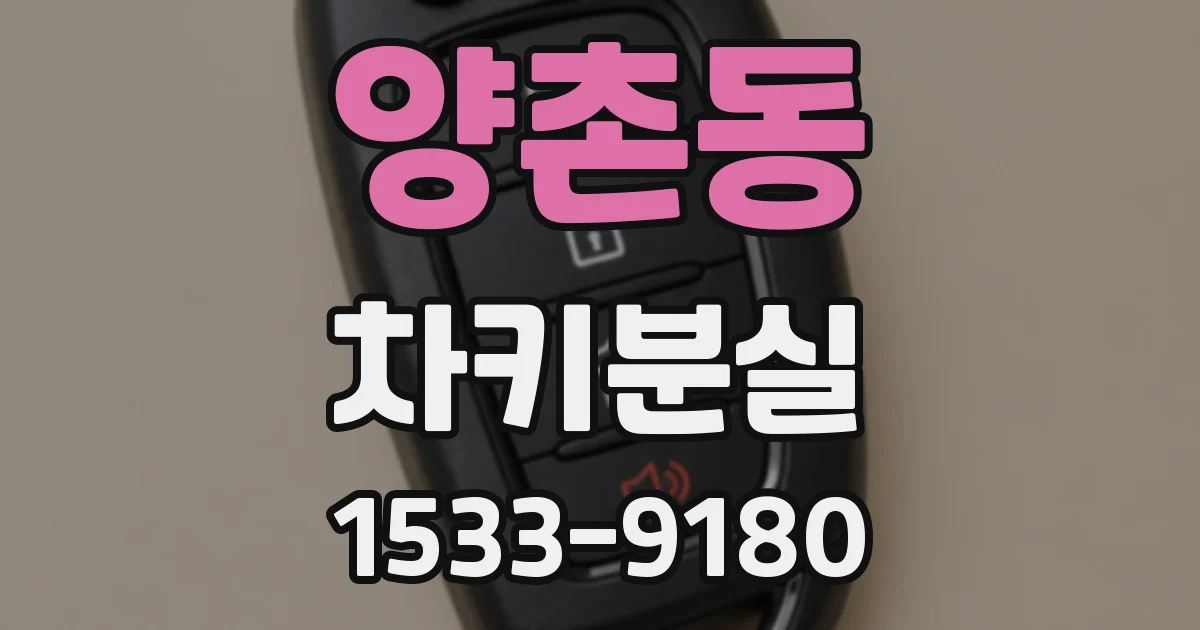 양촌동 차키분실
