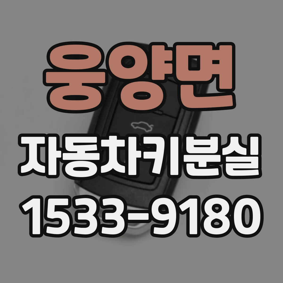 웅양면 자동차키분실