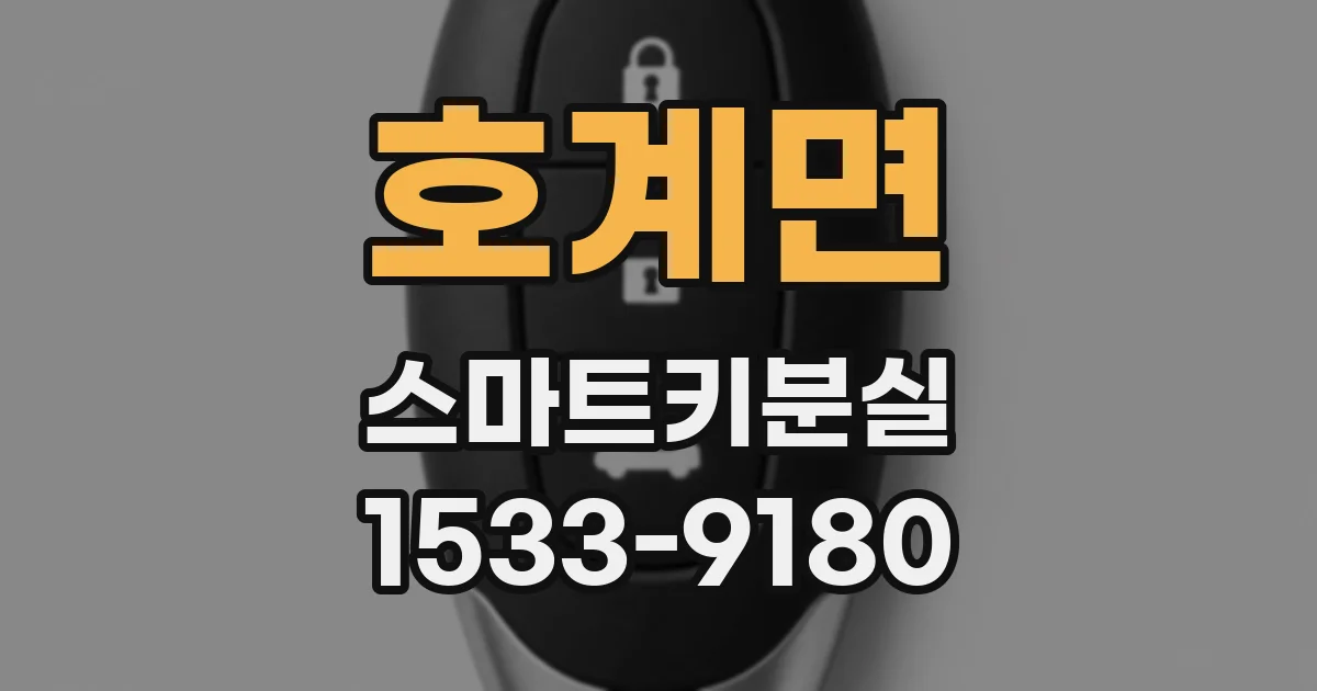 호계면 스마트키분실