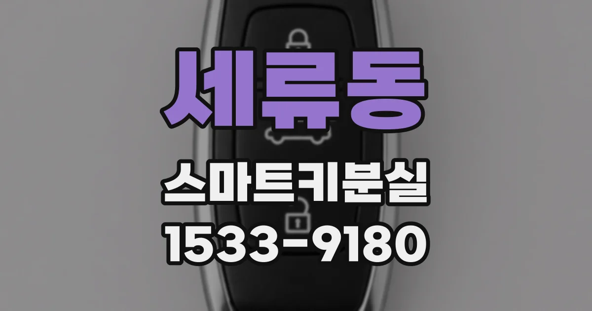 세류동 스마트키분실