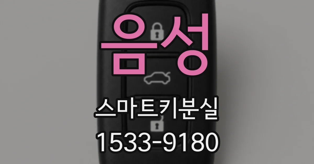 음성 스마트키분실