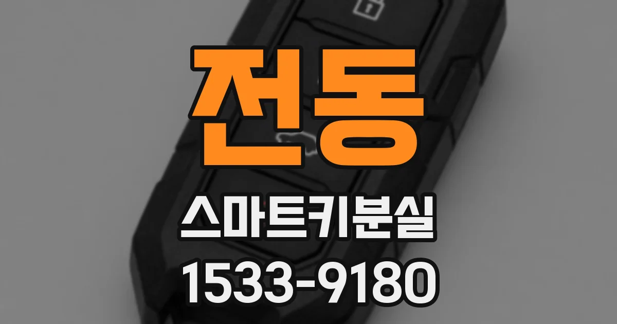 전동 스마트키분실