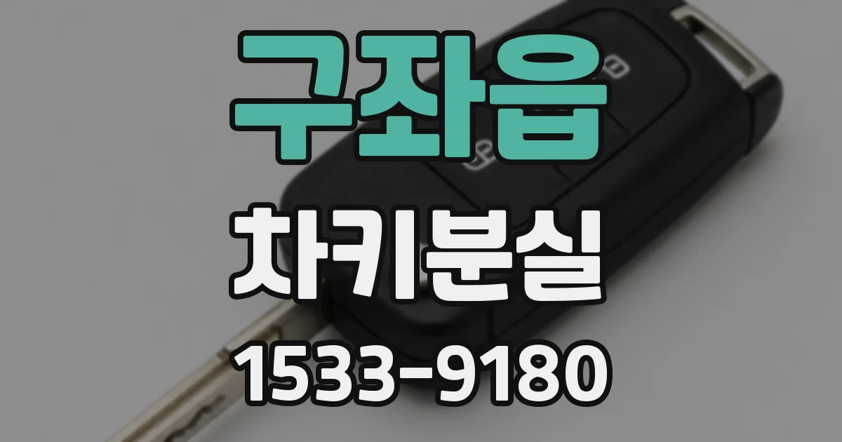 구좌읍 차키분실