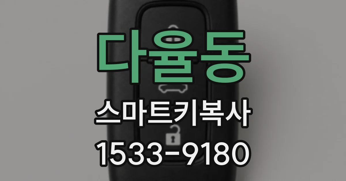 다율동 스마트키복사