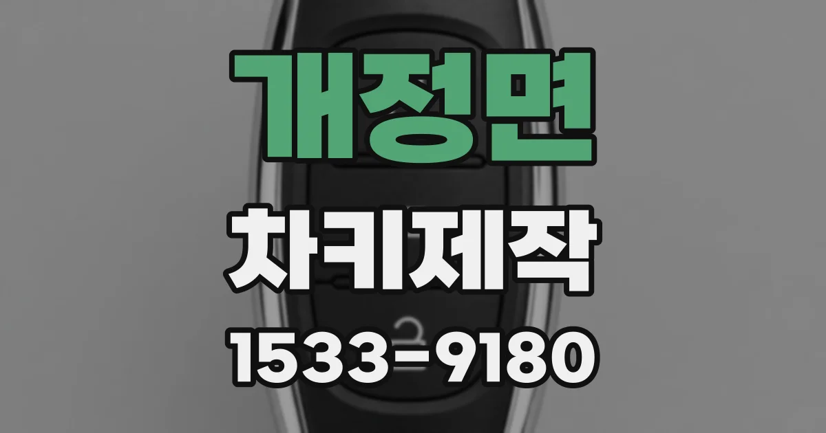 개정면 차키제작