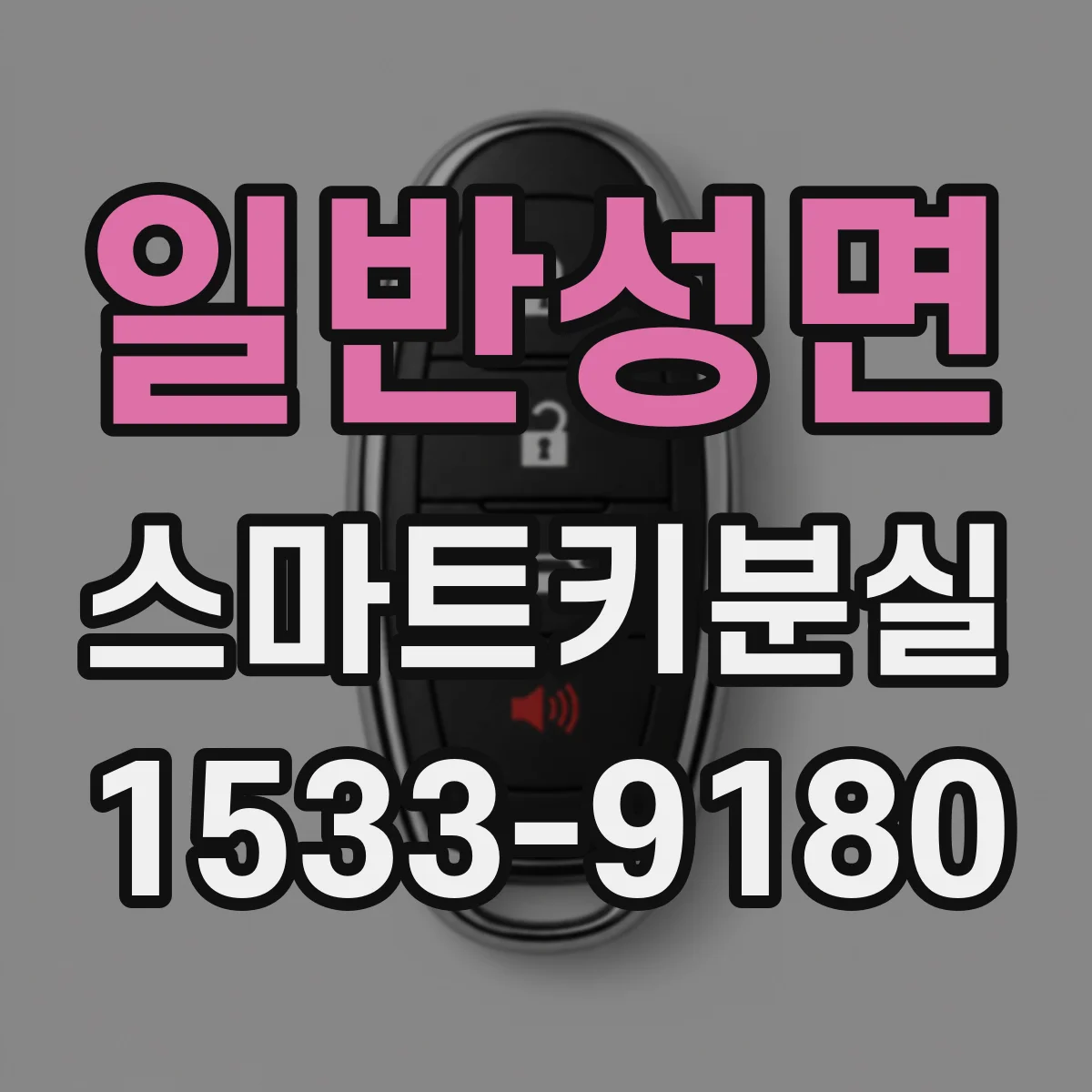 일반성면 스마트키분실