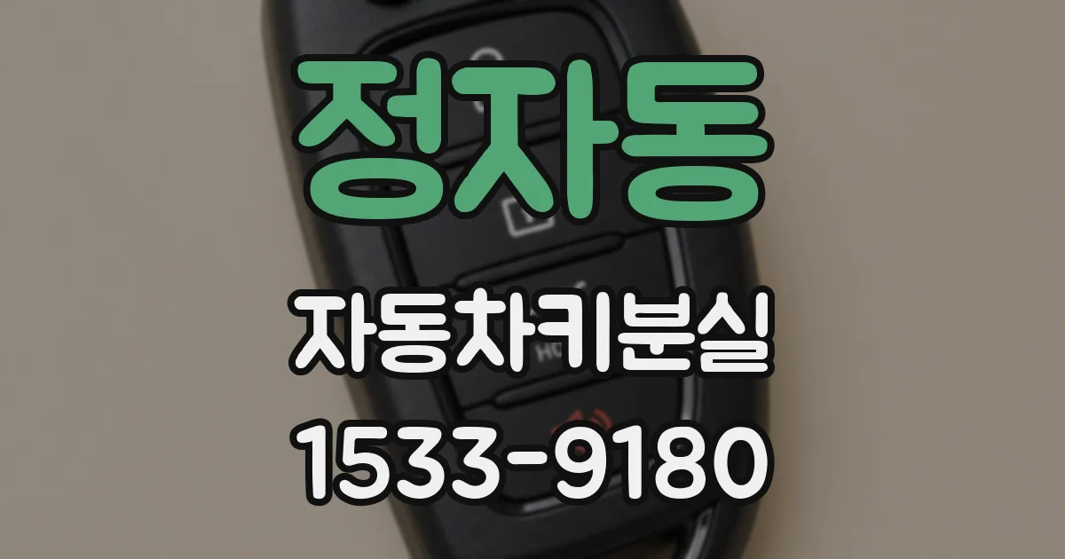 정자동 자동차키분실