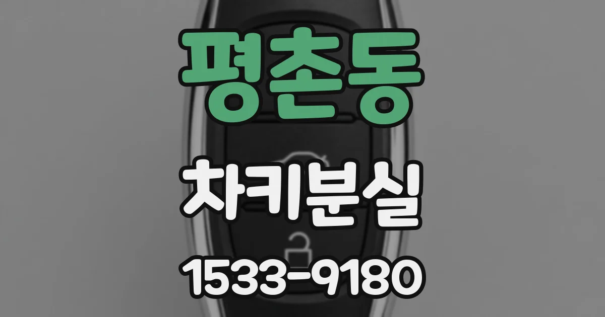 평촌동 차키분실