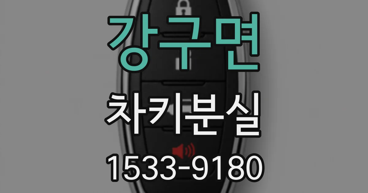 강구면 차키분실