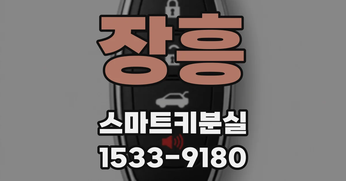 장흥 스마트키분실