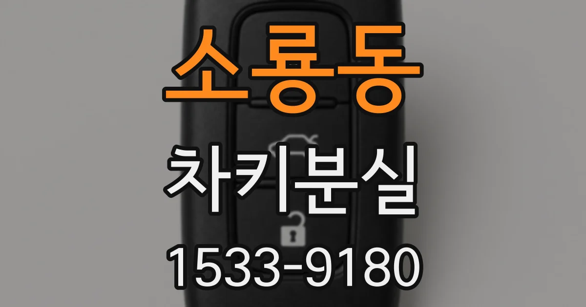 소룡동 차키분실