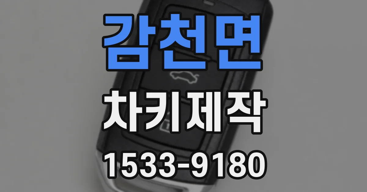 감천면 차키제작