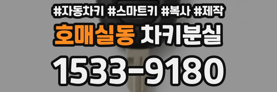호매실동 차키분실