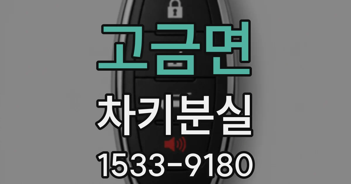 고금면 차키분실
