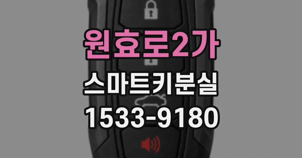 원효로2가 스마트키분실