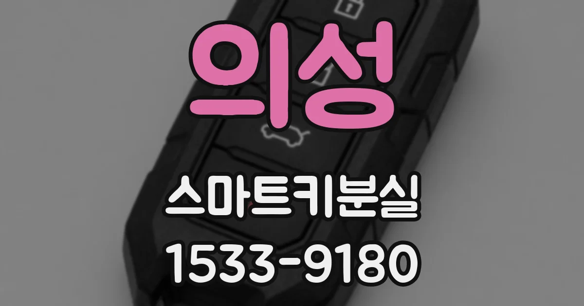 의성 스마트키분실