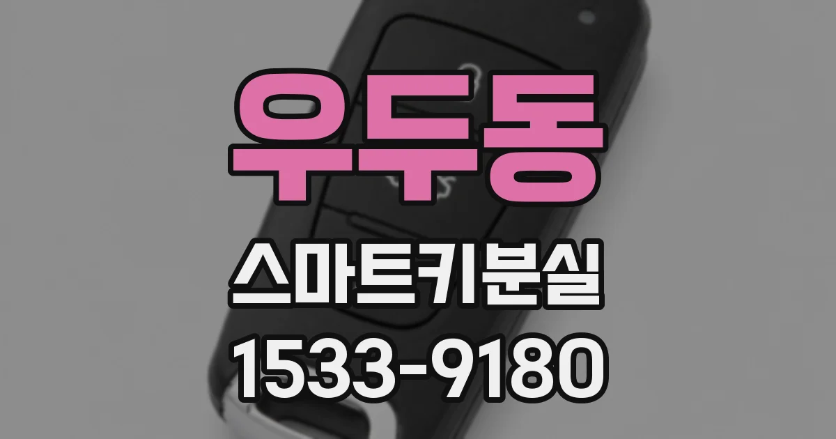 우두동 스마트키분실