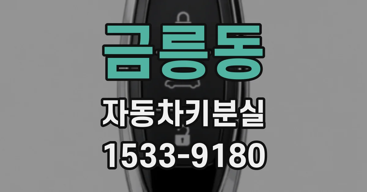 금릉동 자동차키분실
