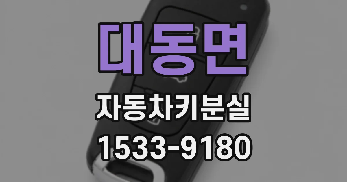 대동면 자동차키분실