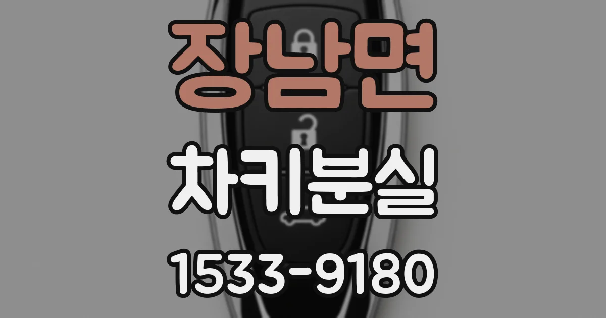 장남면 차키분실