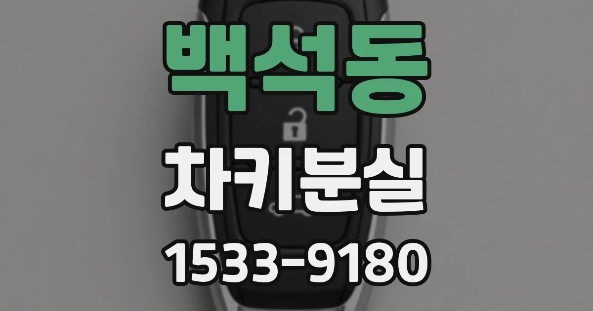 백석동 차키분실