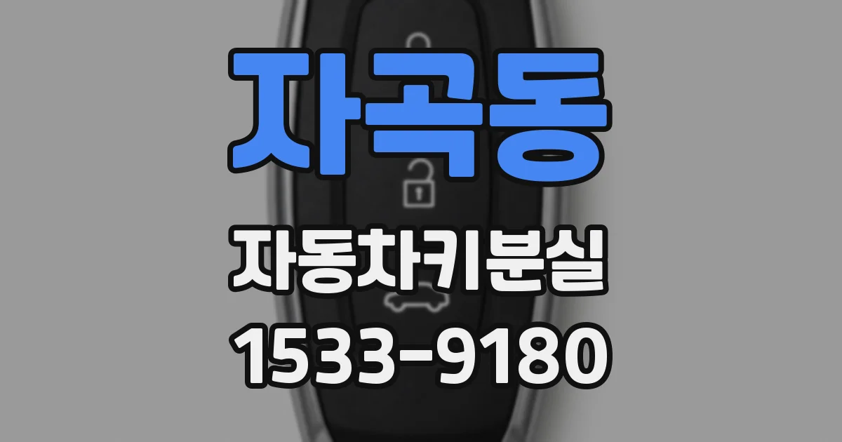자곡동 자동차키분실