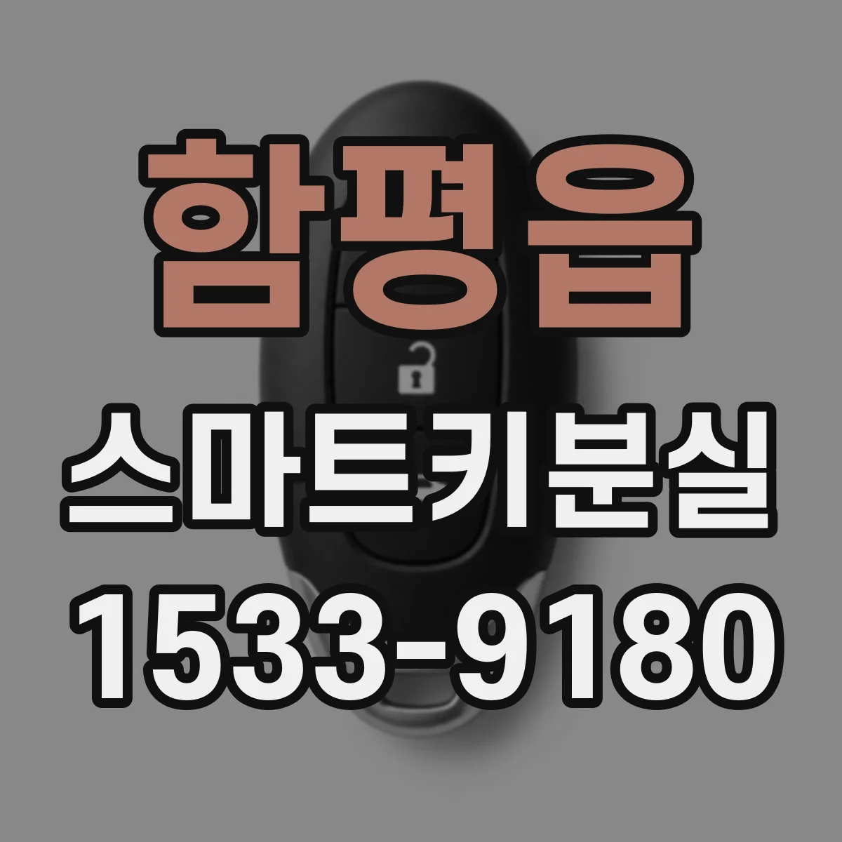 함평읍 스마트키분실