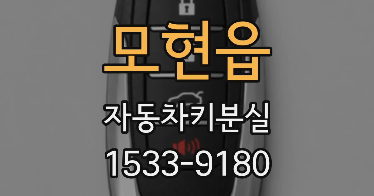 모현읍 자동차키분실