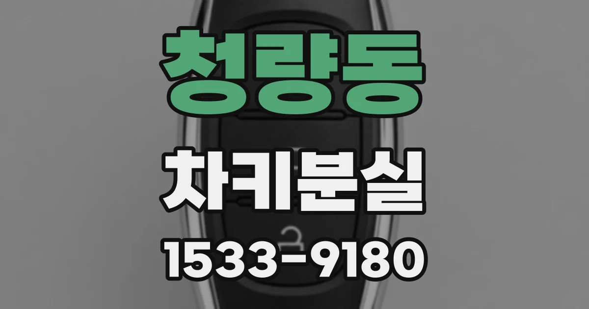 청량동 차키분실