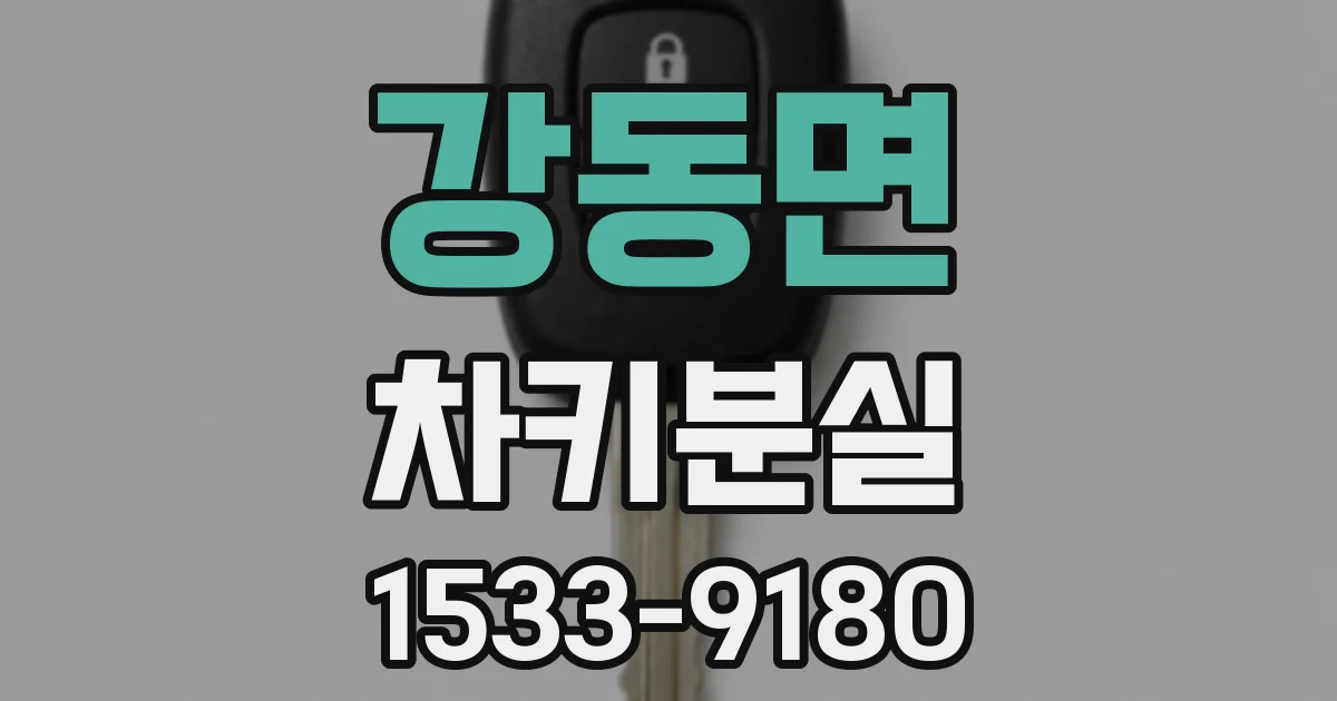 강동면 차키분실