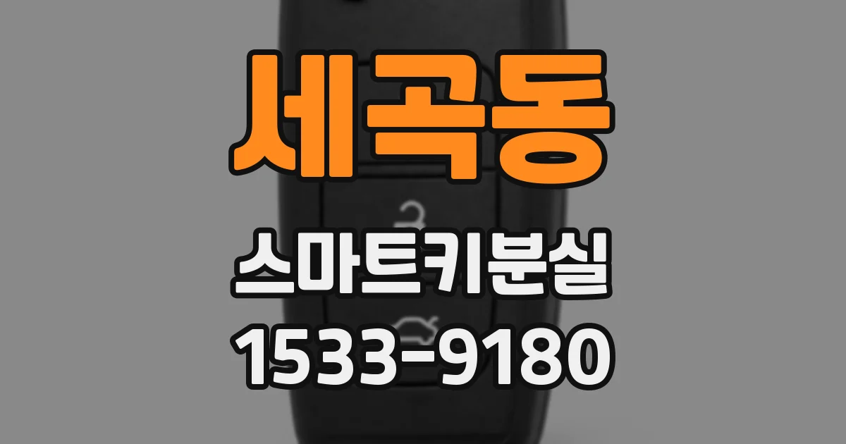 세곡동 스마트키분실