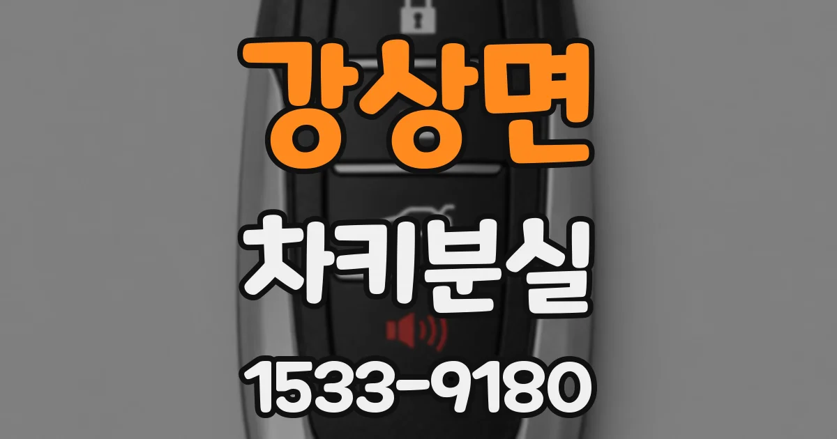 강상면 차키분실