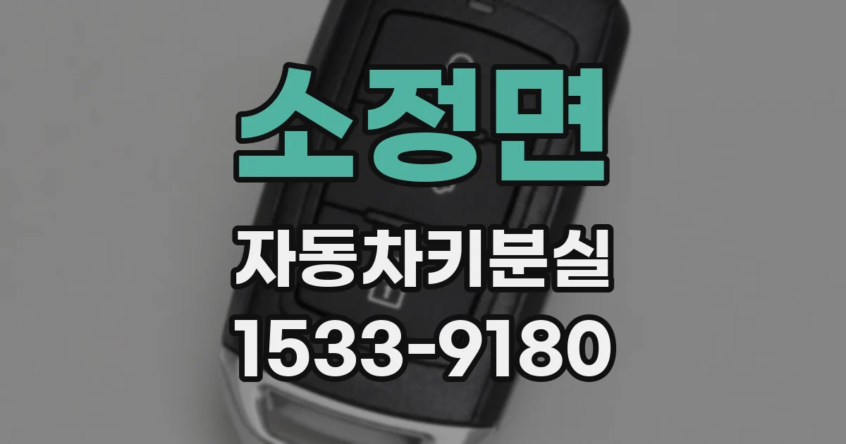 소정면 자동차키분실